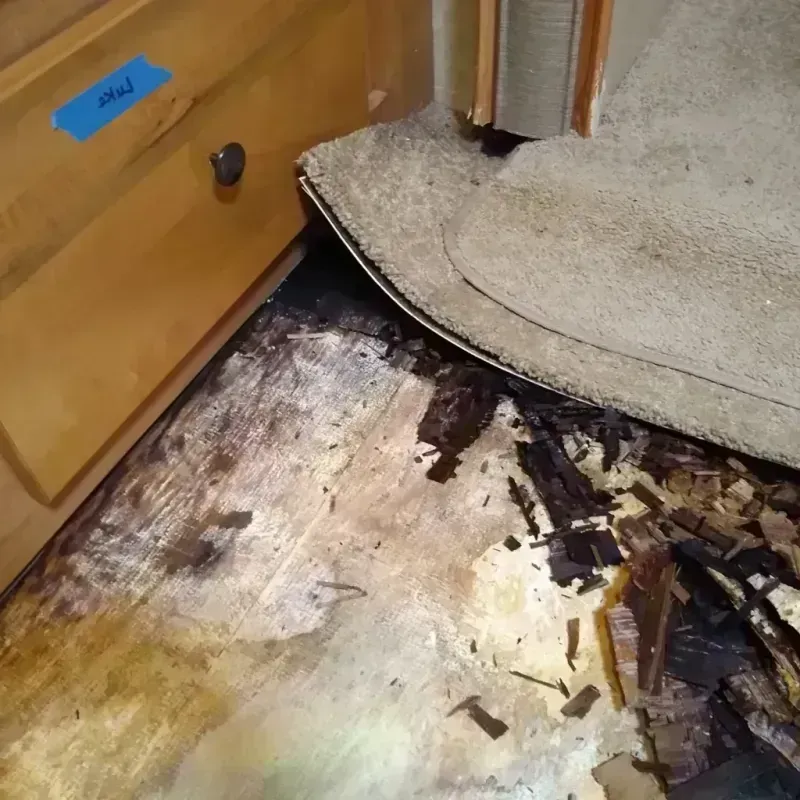 Wood Floor Water Damage in Iosco County, MI